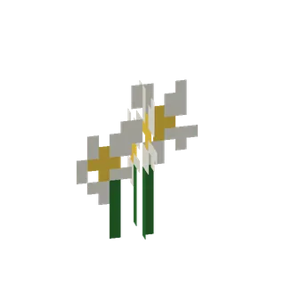 Plumeria