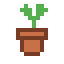 Plantjeshoedje