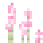 Bloesemriet