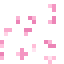 Drijvende bloesemblaadjes