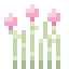 Bloesemriet
