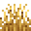 Korstgras