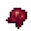 Fermented spider eye
