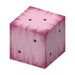 Motknabbel