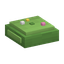 Moss Cushion