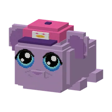 Trainerpetje