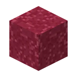 Maagbodem