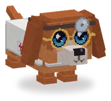 Dokter Pleisterpoot