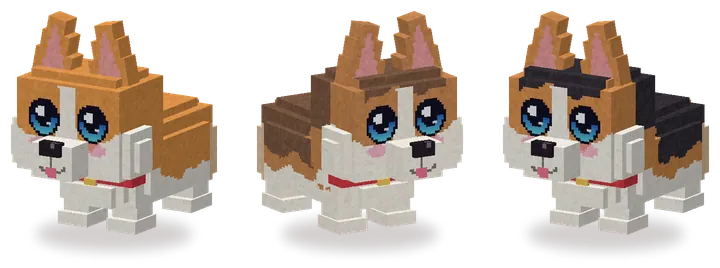 Corgi
