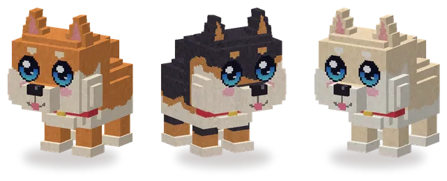 Shiba
